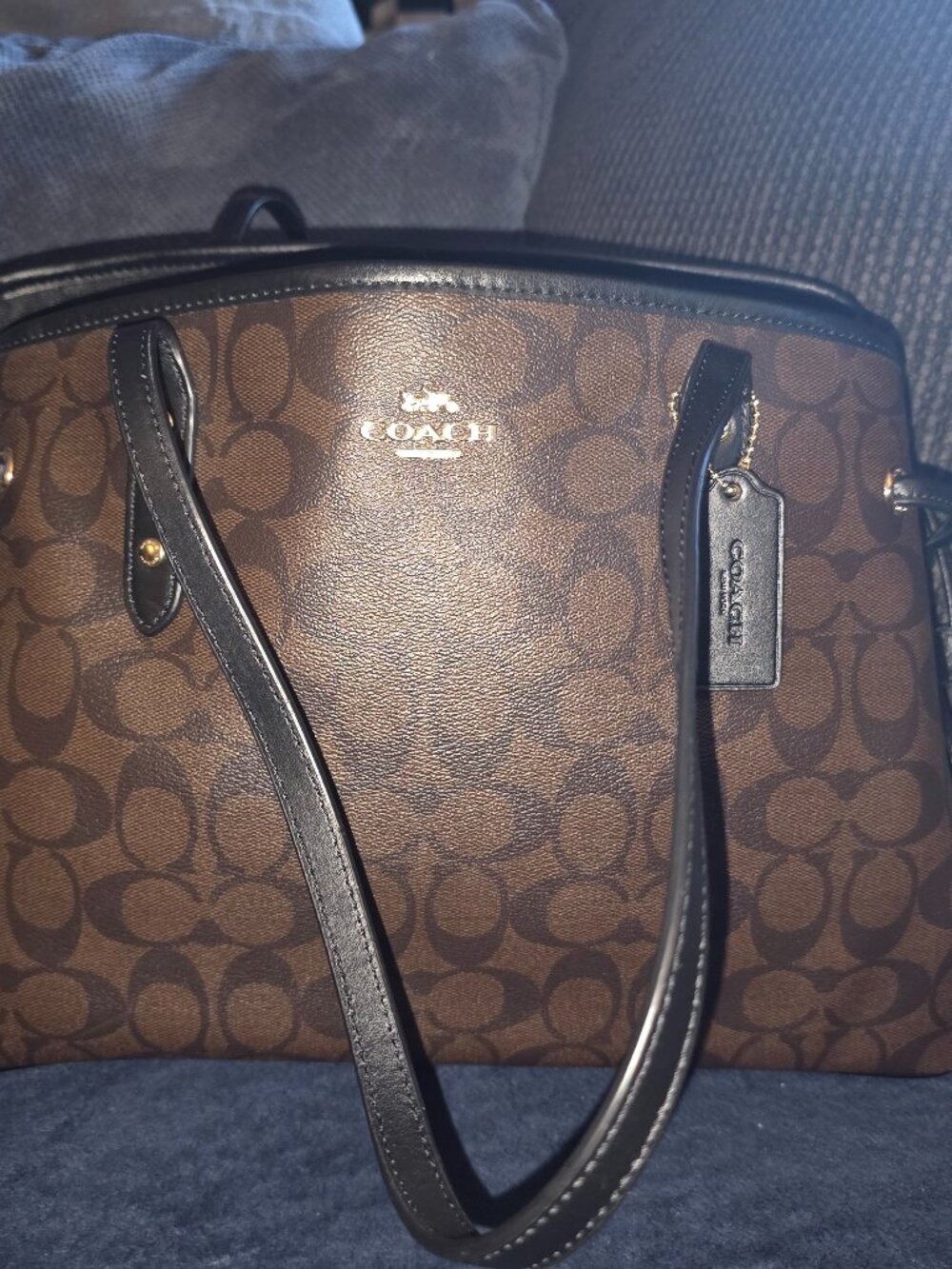 Coach signature carryall 40cm tote bag in coated canvas